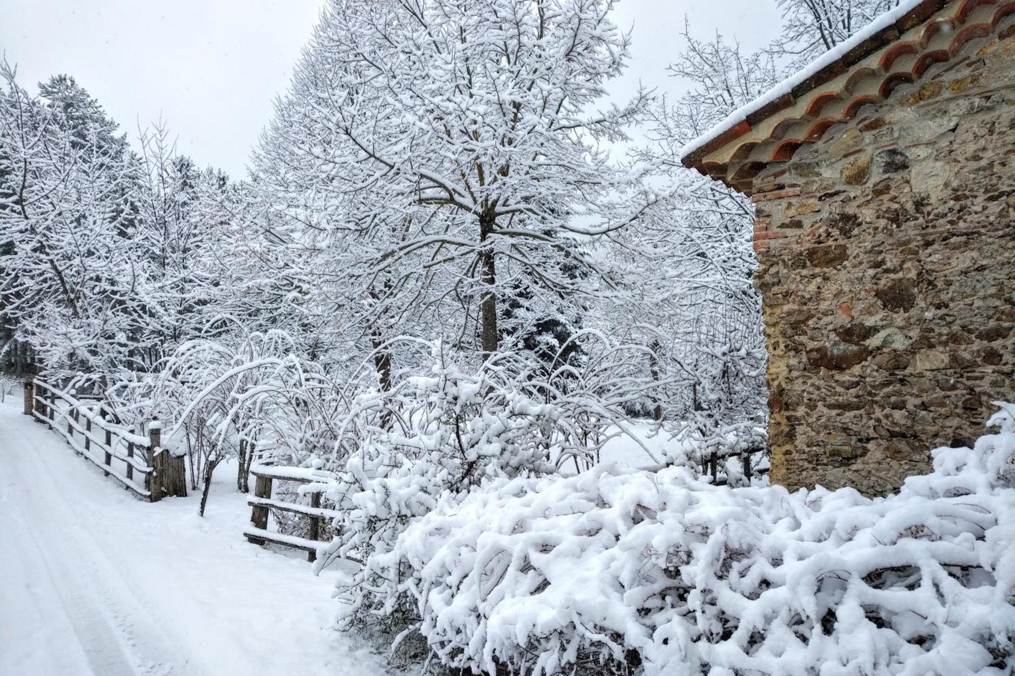 Hotel Torre Camigliati Dimora Storica Camigliatello Silano Zewnętrze zdjęcie