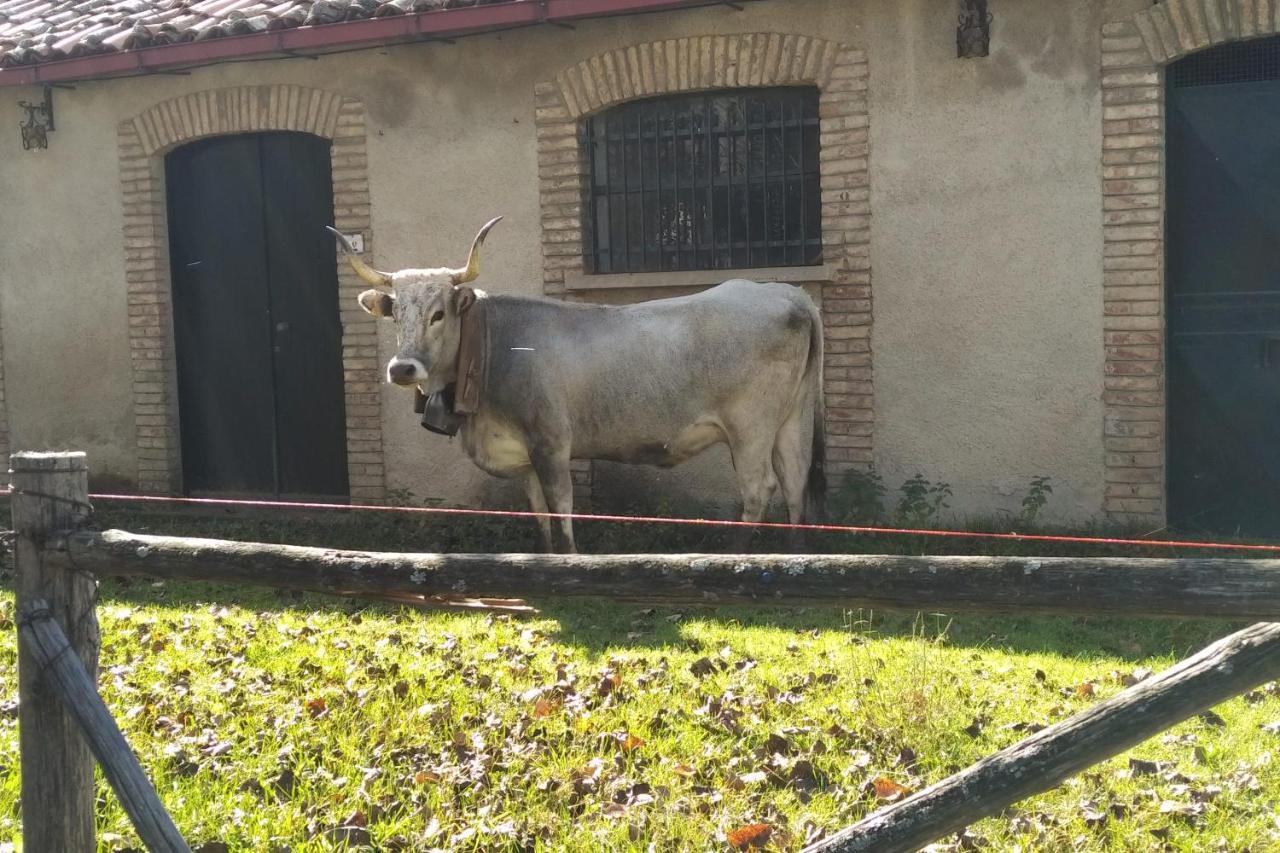 Hotel Torre Camigliati Dimora Storica Camigliatello Silano Zewnętrze zdjęcie