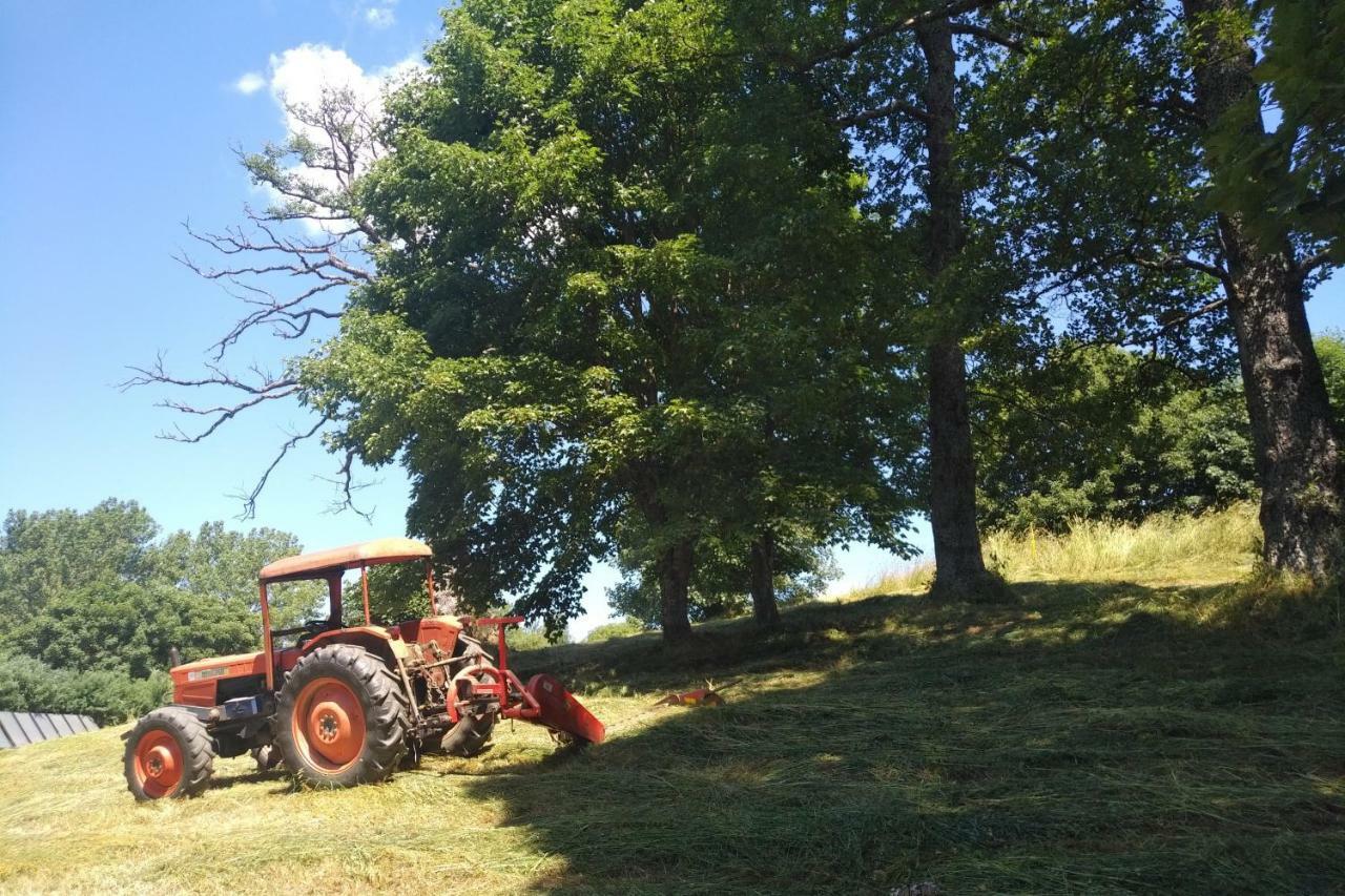 Hotel Torre Camigliati Dimora Storica Camigliatello Silano Zewnętrze zdjęcie