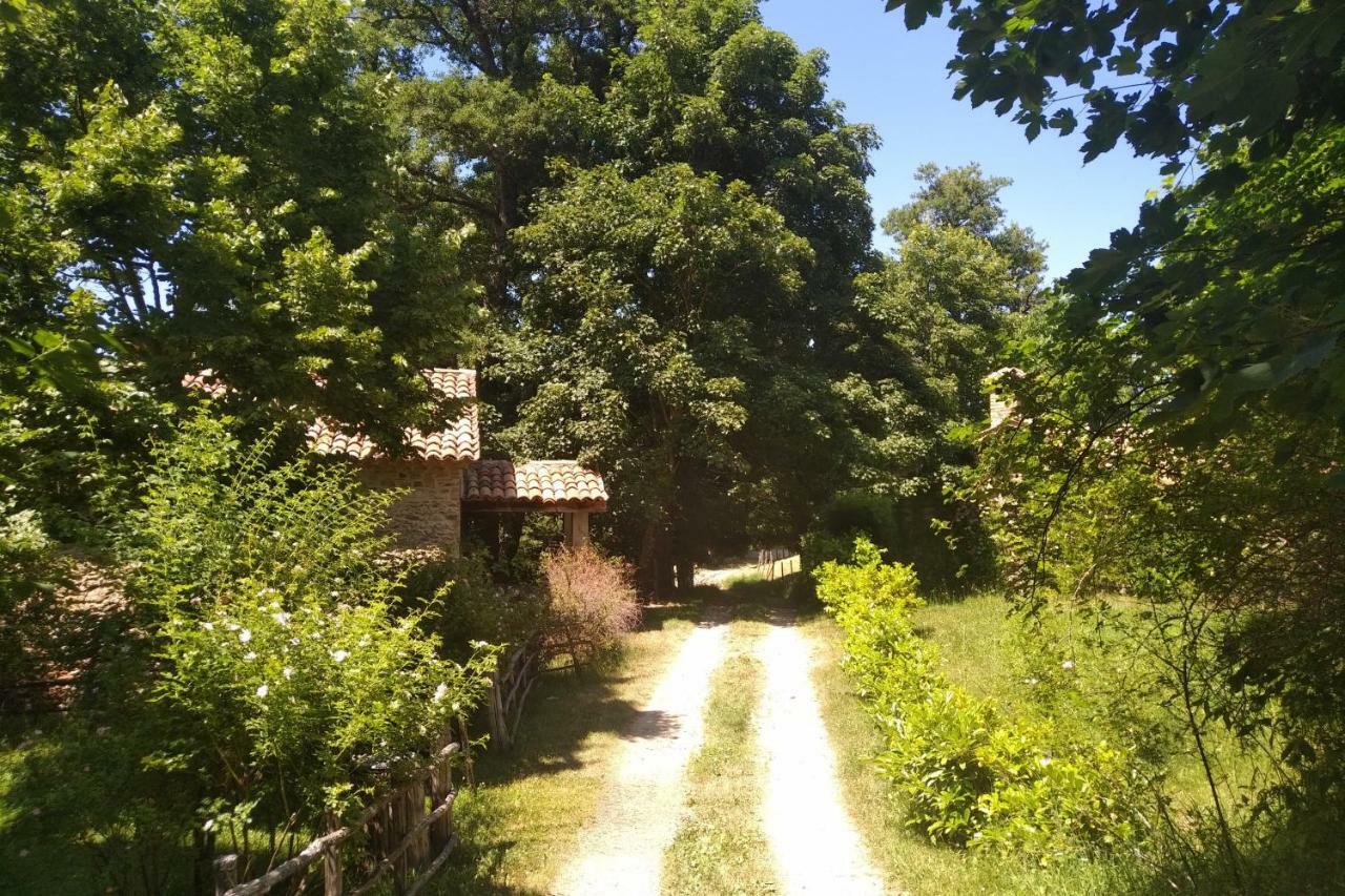 Hotel Torre Camigliati Dimora Storica Camigliatello Silano Zewnętrze zdjęcie