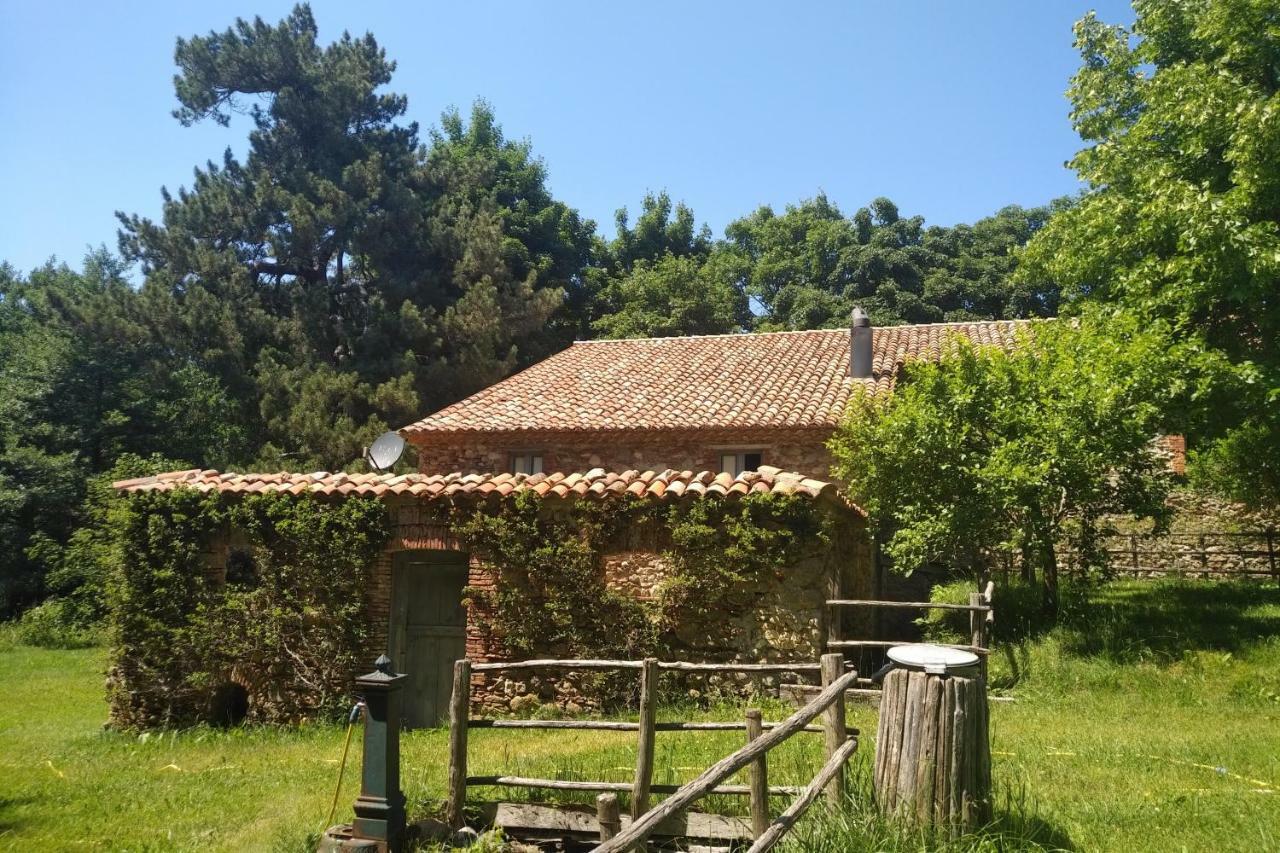 Hotel Torre Camigliati Dimora Storica Camigliatello Silano Zewnętrze zdjęcie