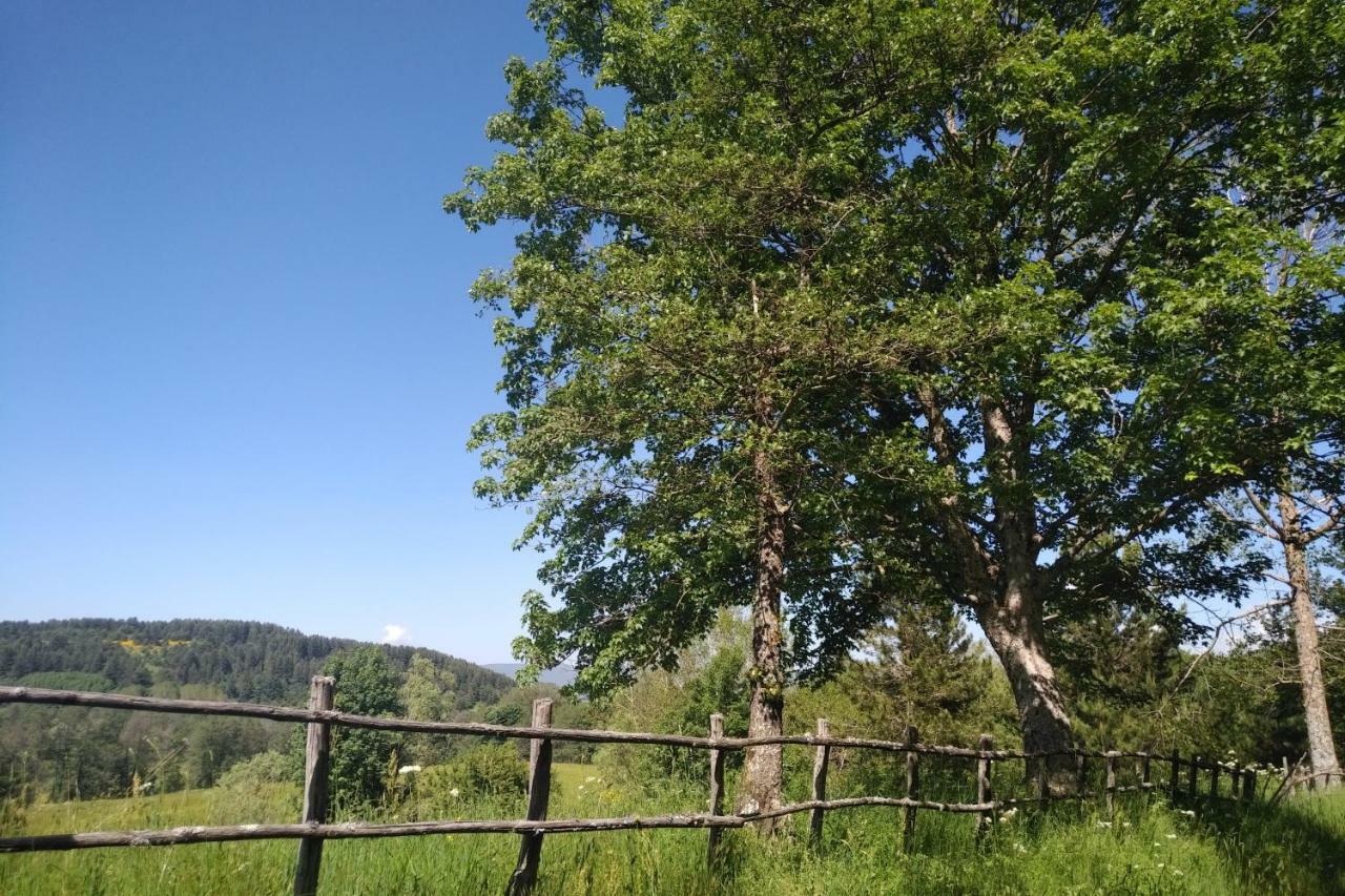Hotel Torre Camigliati Dimora Storica Camigliatello Silano Zewnętrze zdjęcie