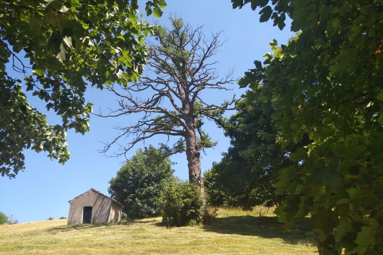 Hotel Torre Camigliati Dimora Storica Camigliatello Silano Zewnętrze zdjęcie