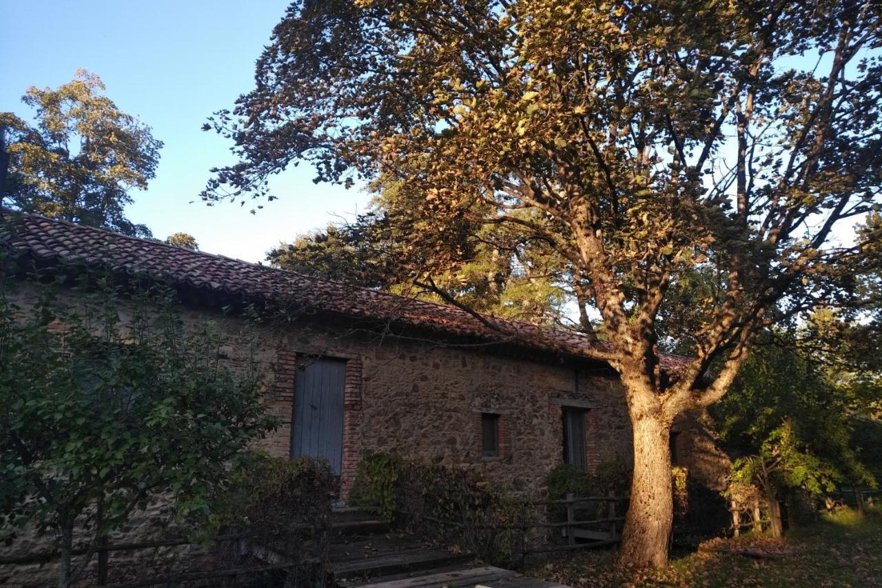 Hotel Torre Camigliati Dimora Storica Camigliatello Silano Zewnętrze zdjęcie