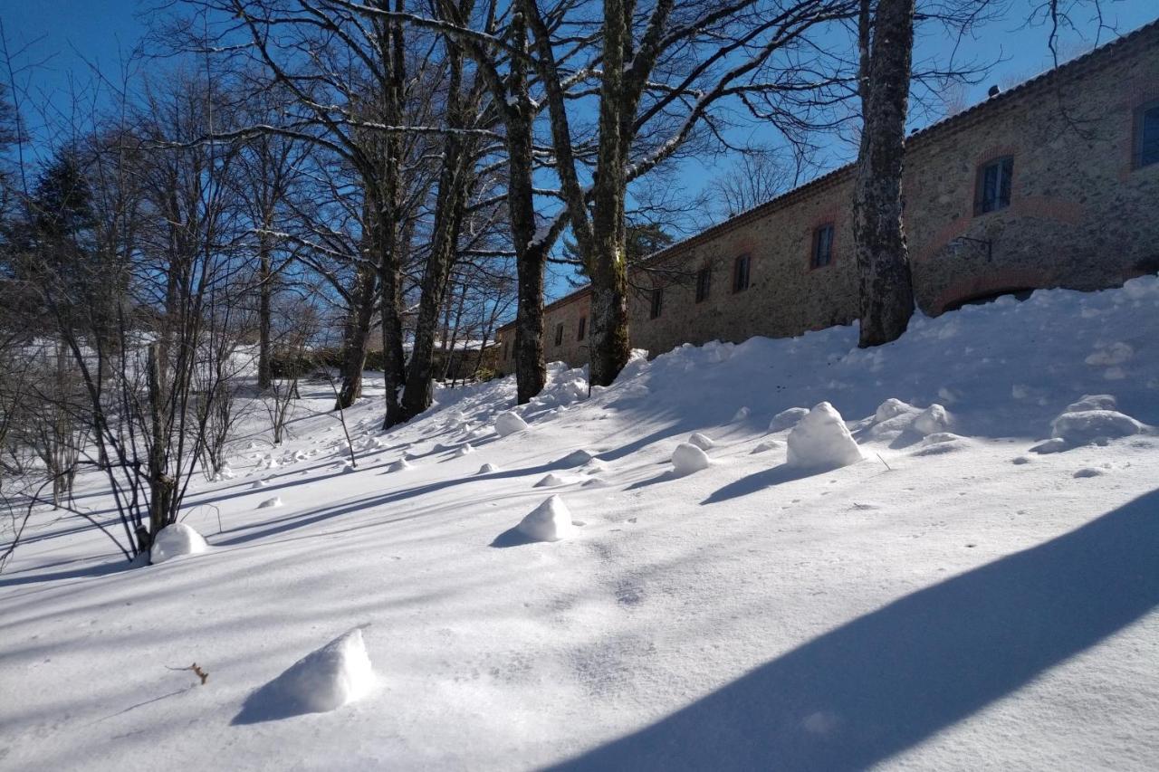 Hotel Torre Camigliati Dimora Storica Camigliatello Silano Zewnętrze zdjęcie